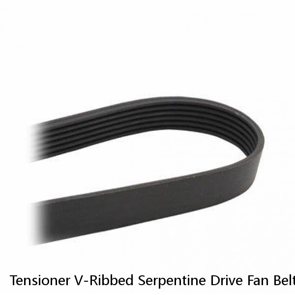 Tensioner V-Ribbed Serpentine Drive Fan Belt Set Gates INA For Audi  A4 B7 A6 C6 (Fits: Audi) #1 image